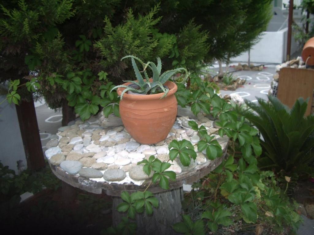 Skyros Panorama Studios מראה חיצוני תמונה