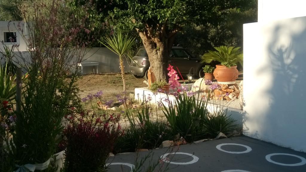 Skyros Panorama Studios מראה חיצוני תמונה