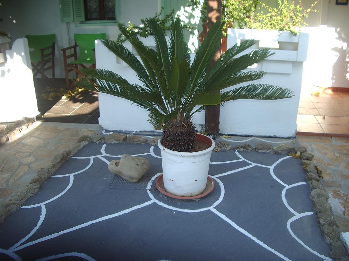 Skyros Panorama Studios מראה חיצוני תמונה